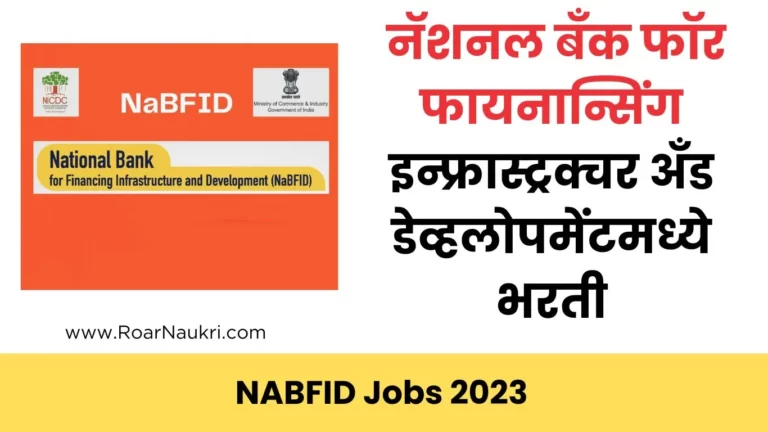 NABFID Jobs 2023